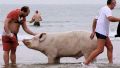 The entire family, at the seaside...