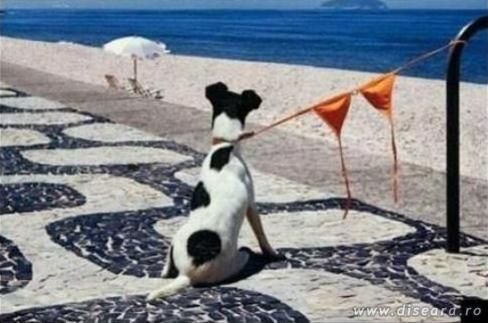 Cam ce poti sa faci cu un sutien la mare...