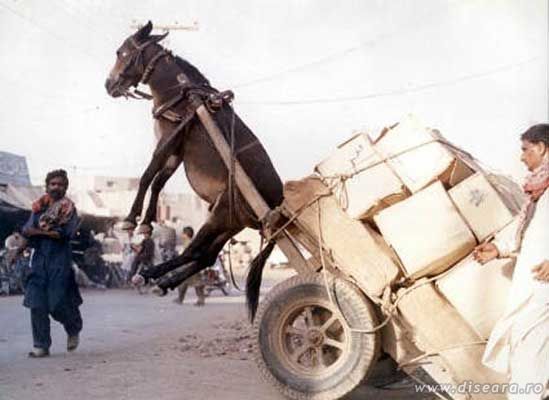 Motor … kaput !