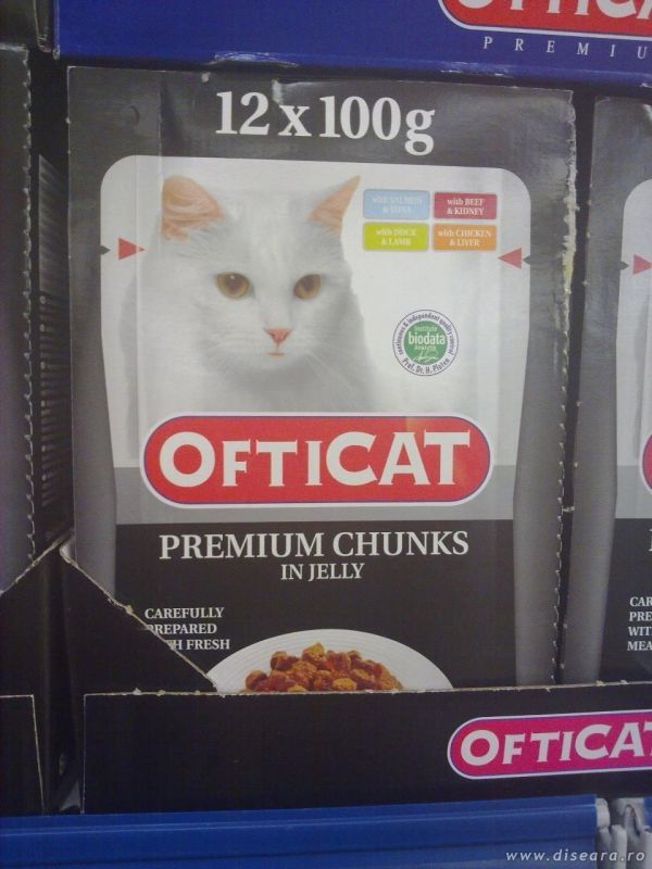 Mancare pentru pisici ofticate