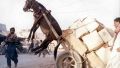 Motor … kaput !