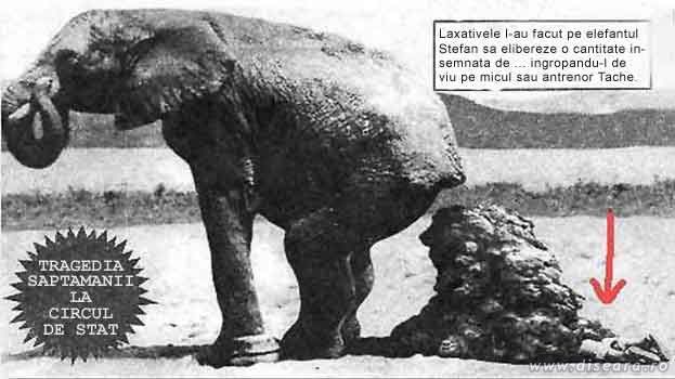 Tragedia saptamanii la Circul de Stat