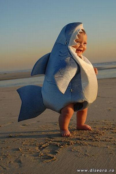 A new species is threatening the mankind: the sand shark ! 