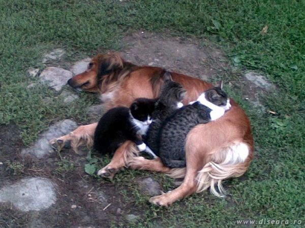 All together