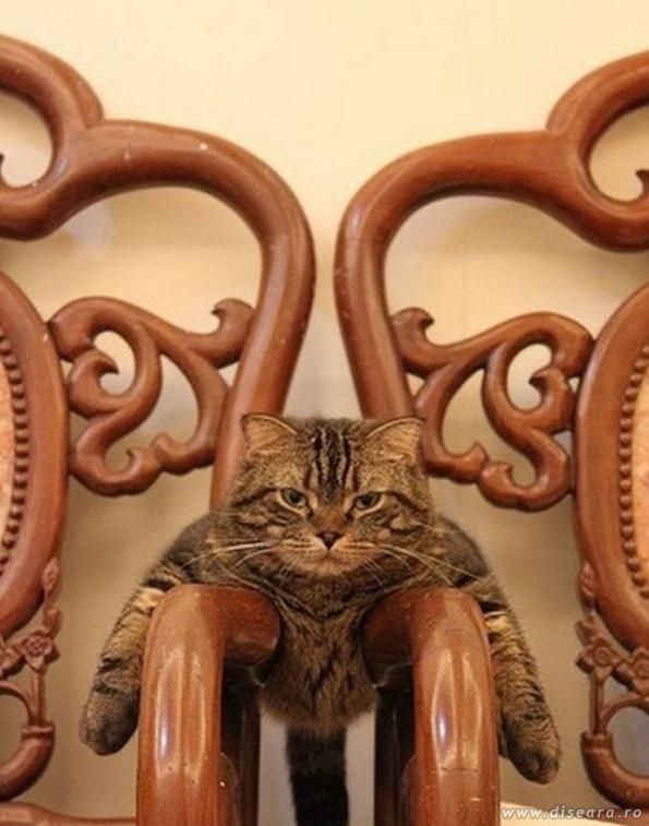 Scatface...