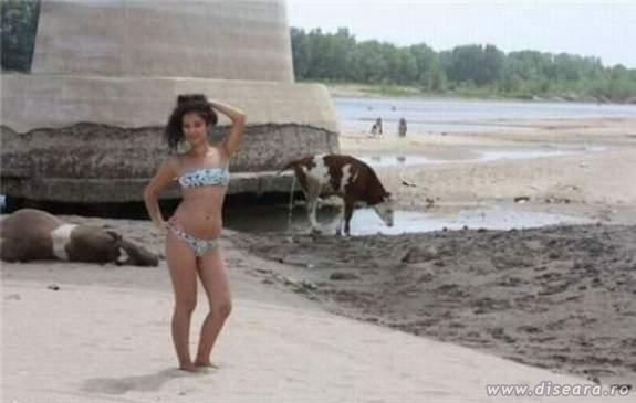 La plaja, pe alte meleaguri.