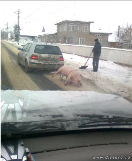 Cortegiu funerar