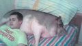 Best pillow