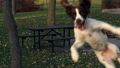 In the park...