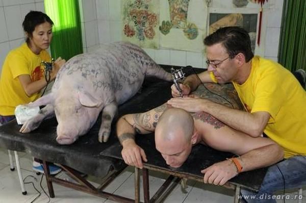Everybody can have a nice tattoo