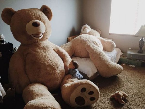 A big little bear...