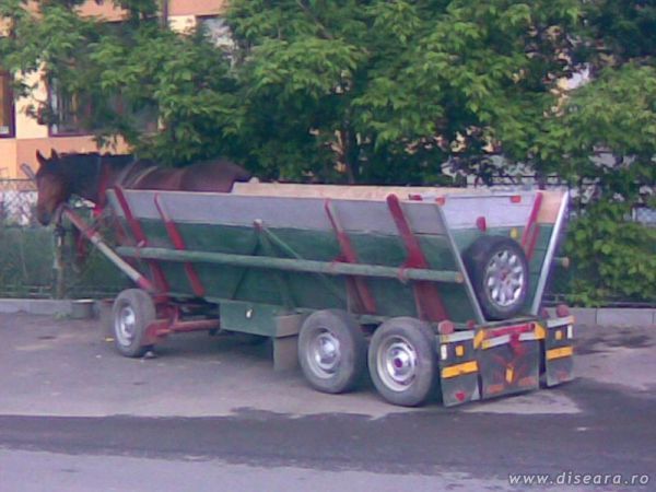 Long vehicle