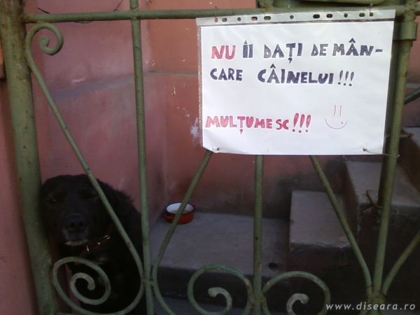 What an owner !