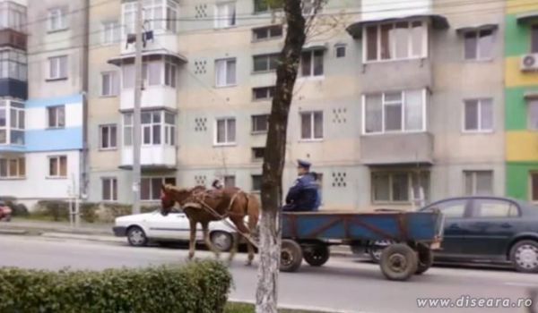 Examen pentru permisul de carutas