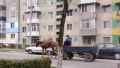 Examen pentru permisul de carutas