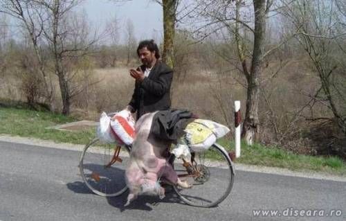 More and more people choose the bicycle