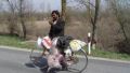 More and more people choose the bicycle