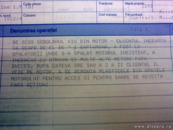 Diagnostic service 