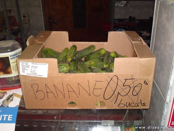 Doar asa se mai vand castraveti anul asta... Camuflati !