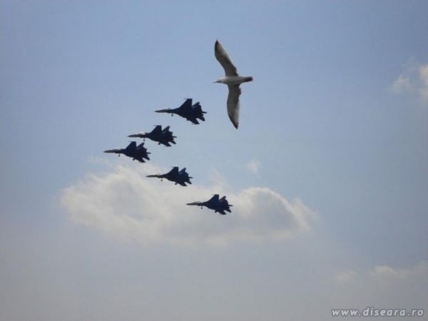 Iar m-au depasit.....!!!