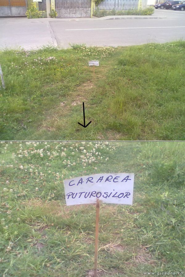 Dedicat oamenilor Lenesi !