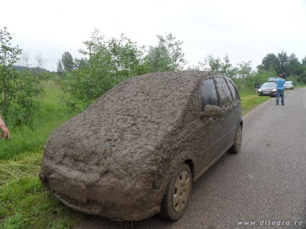 I treat it with mud, from Techirghiol