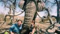 Elefant