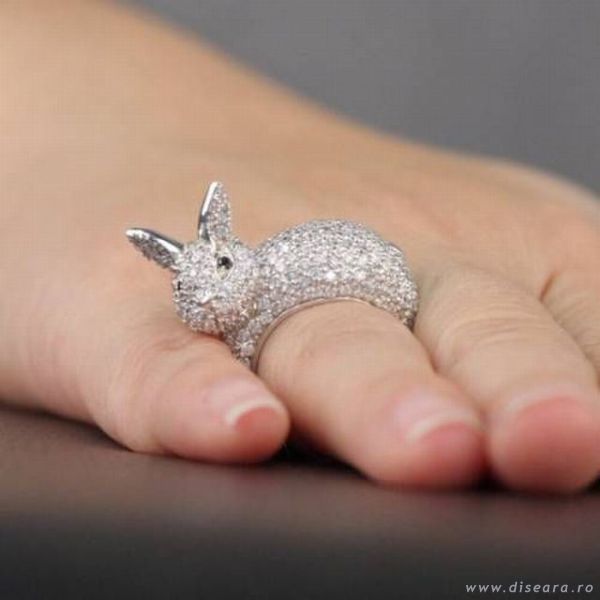 A more expensive... pet !