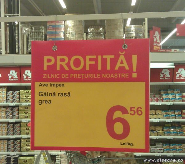 Gaina rasa... ?!