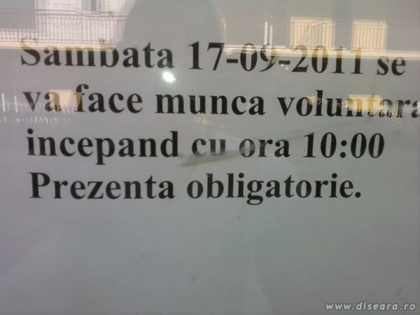 Mda, voluntara...