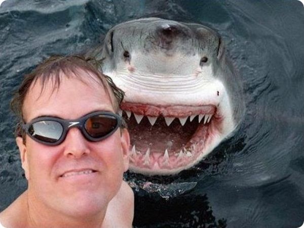 Selfie
