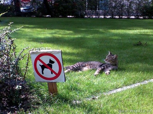Relaxare totala