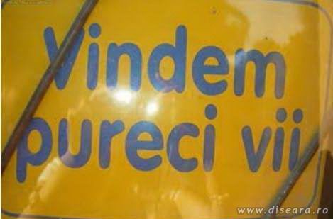 Nu va ingramaditi, avem pentru toata lumea !