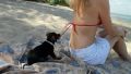 Very good trained
