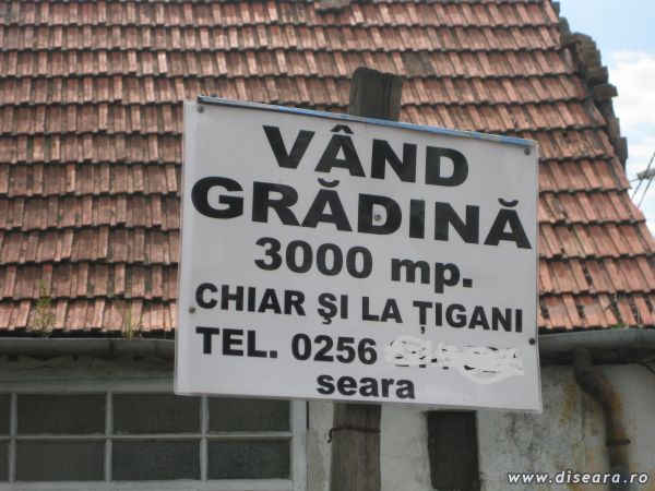 Cati l-or fi sunat sa-l injure ?