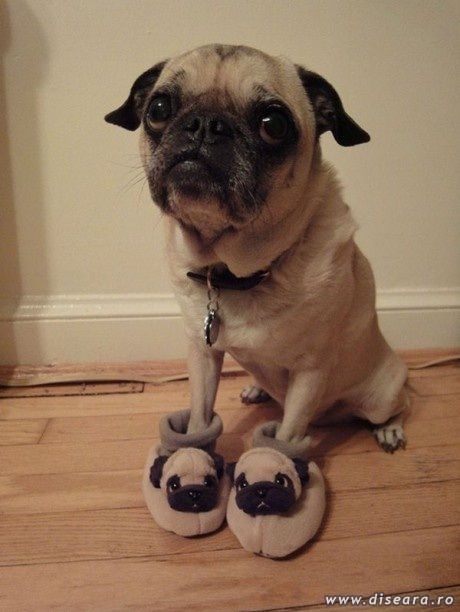 How can it this not be the picture of the day ?