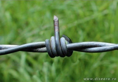 A message for the politicians