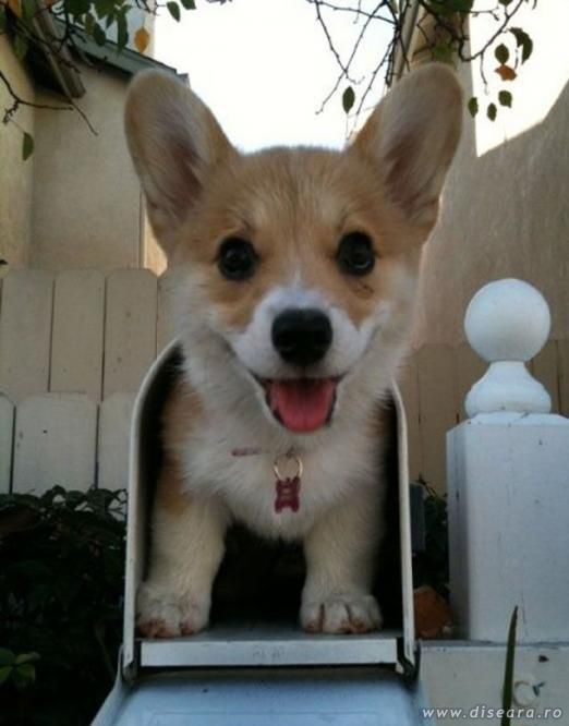 Am dat un mail... l-a primit careva ?
