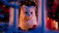 Waiting for Santa Claus...