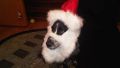 Ho Ho Ho!
