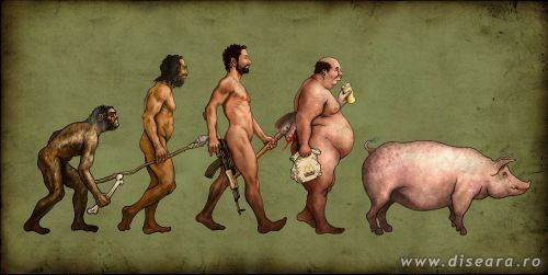 Evolutie !?!