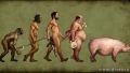 Evolutie !?!