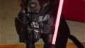 Darh..Vader...si transformarea lui.