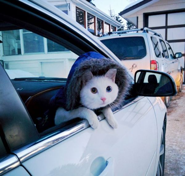 A little bit cold today...