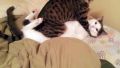 Hey... some privacy, please!