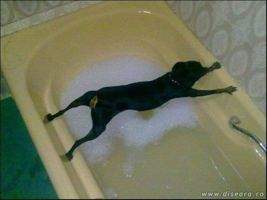 I won't go there !!!