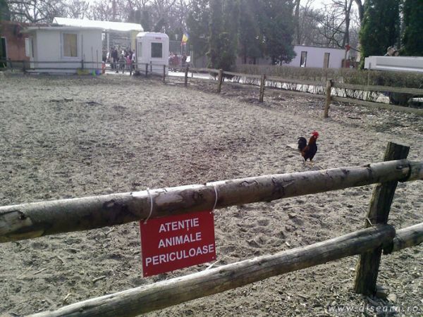 Attention, dangerous animals !