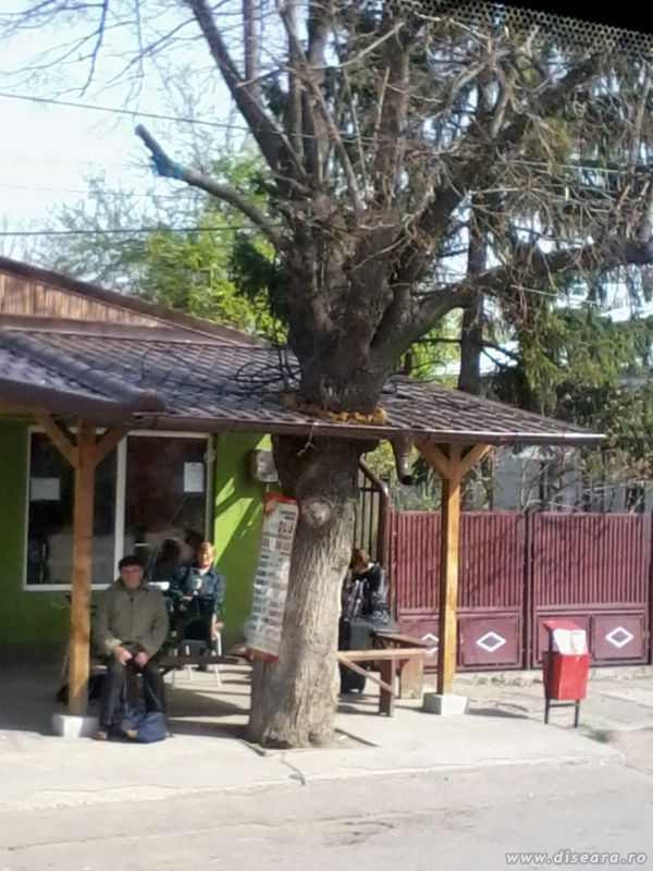 Are we with the nature or what ?