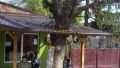 Are we with the nature or what ?