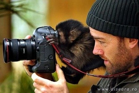 Arta fotografiei